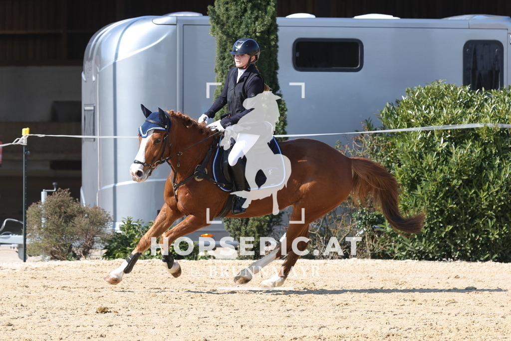 0P6A6576 | Willkommen bei Brunnmayr - Design & Fotografie – Ihrem Spezialisten für Reitturniere und Pferdeveranstaltungen in Oberösterreich, Salzburg und Bayern! Seit über 17 Jahren sind wir leidenschaftlich dabei.