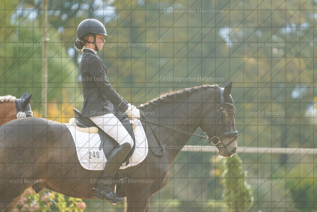 20221008-FAH00774 | Diessen am Ammersee, 2022, Dressur- und Springturnier, Reitsportbilder, Turnierfotografen Bayern, Pferdefotografen, Fotoagentur Herrmann, Turnierbilder