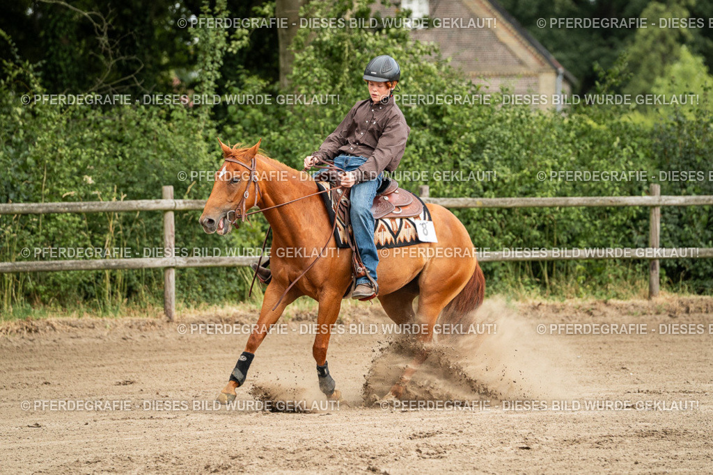 DSC04852 | Pferdegrafie