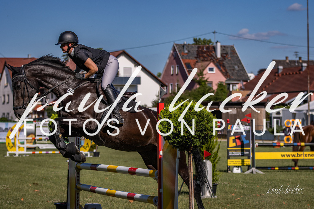 IMG_9836 | Erleben Sie dynamische Sport- und emotionale Tierfotografie in Süddeutschland mit Fotos von Paula. Spezialisiert auf Pferde- und Hundefotografie sowie Sportevents. Kontaktieren Sie mich für einzigartige und ausdrucksstarke Bilder Ihrer besonderen Momente. - Realisiert mit Pictrs.com