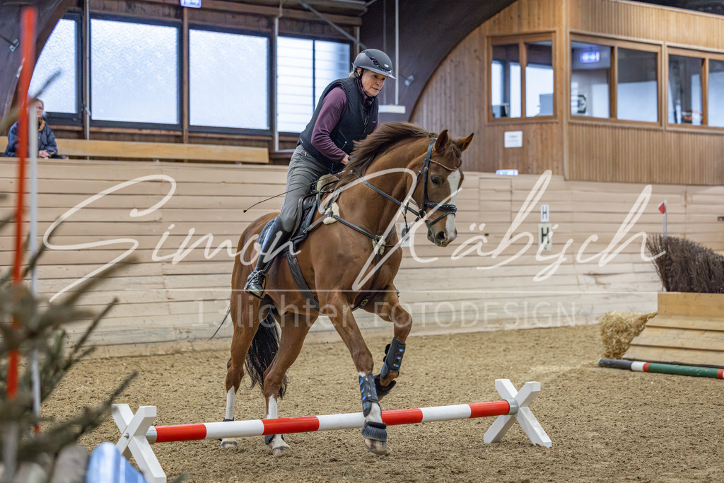 20260221-_3LI8341 | Tierfotografie Pferde, Hunde, Katzen, Haustiere.
Turnierfotografie Reitturniere, Reiten, Springreiten, Dressur in Hanau, dem Main-Kinzig-Kreis und dem Rhein-Main- Gebiet um Frankfurt