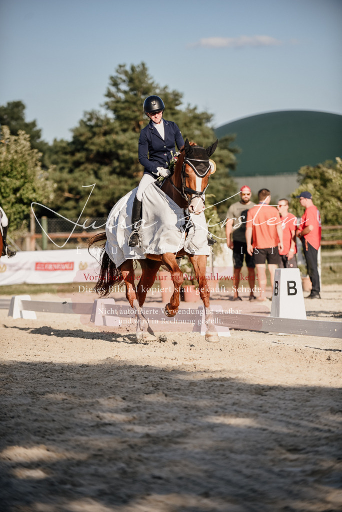 DSC_0739 | Pferde- und Turnierfotografie in Westsachsen. Pferdeportraits, Auftragszeichnungen und intuitive Kunst.