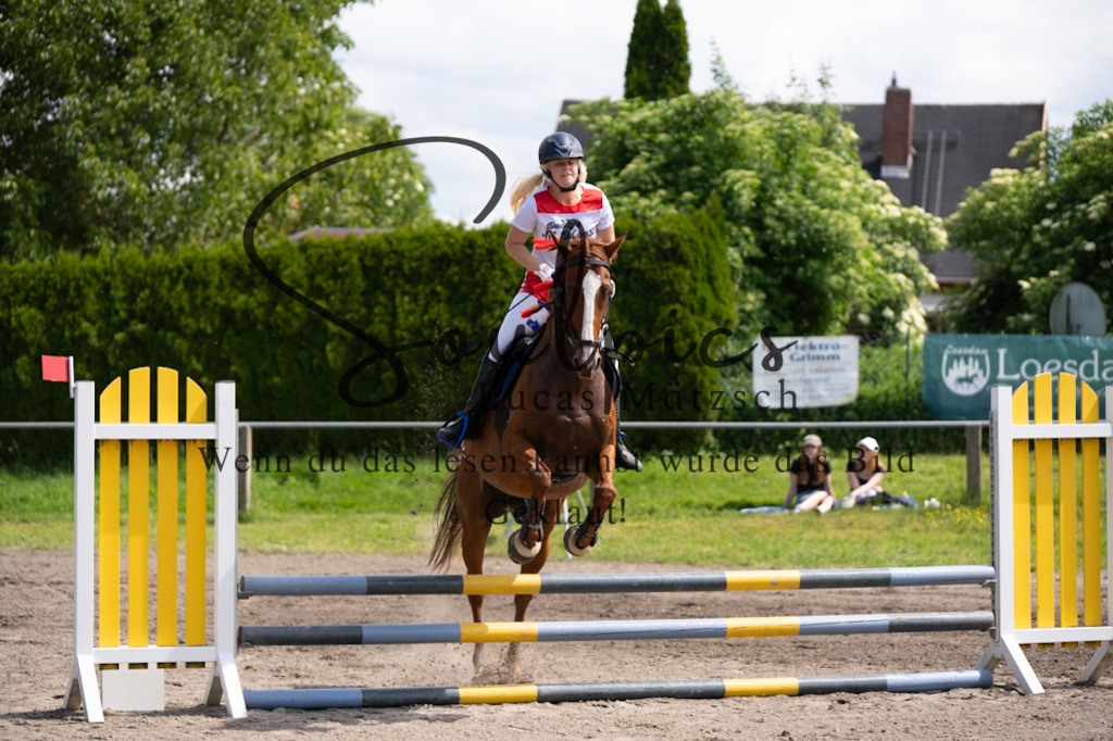 A7V04592 | Pferdefotograf