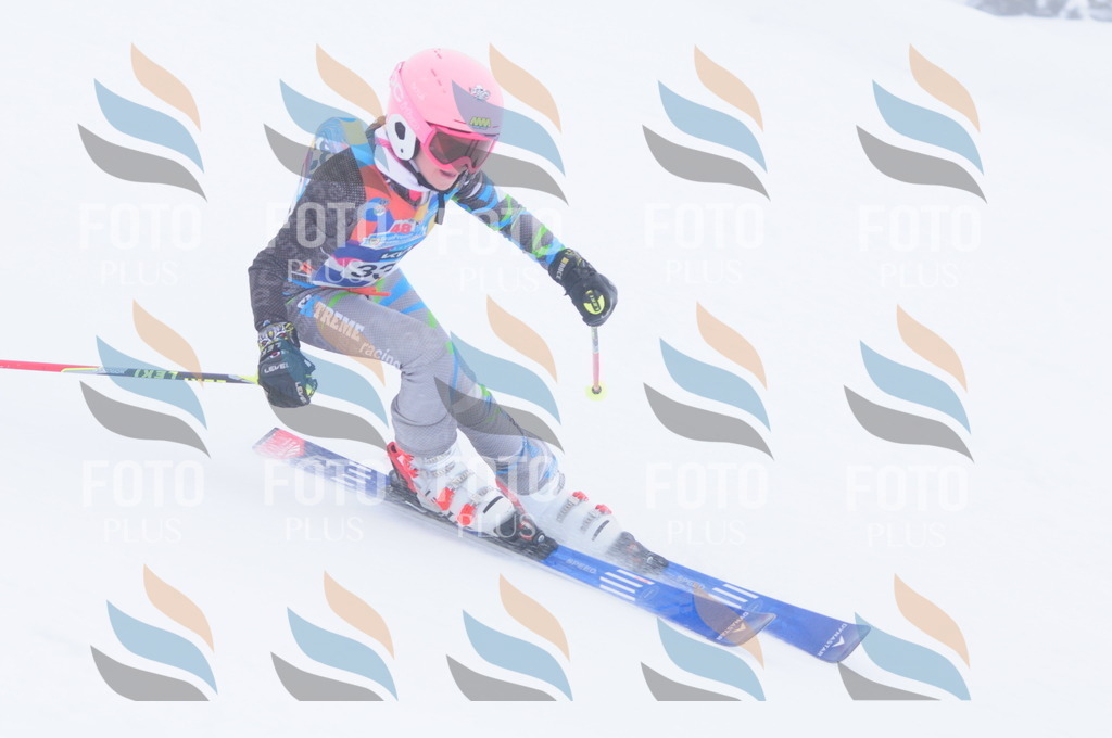 C3582 | holidayphoto