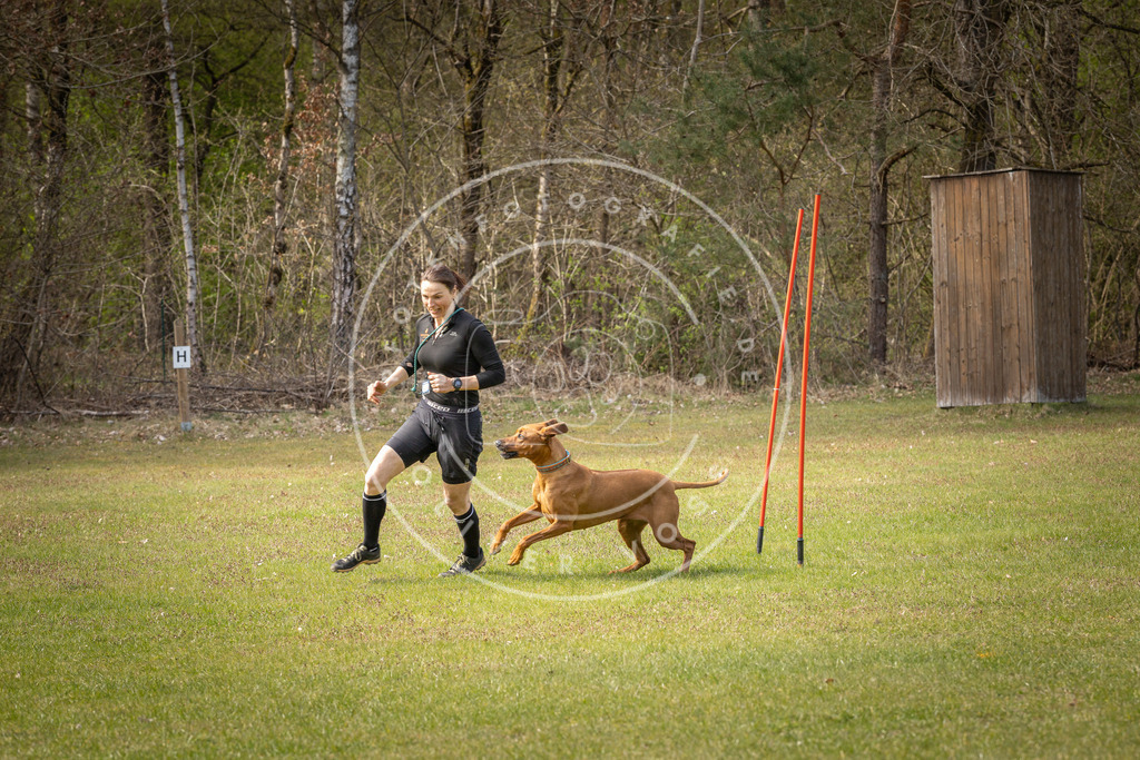 Pfotenfotografie_DV3A7169 | Hundefotografie, Tierfotograf, Pfotenfotografie, Fotoshooting Hund, Hunde Portrait, Hundesport, Hundeportraits, Heideshooting, Hunde, Sportfotograf, Hundefotograf, Turnierhundsport, THS,  - Realisiert mit Pictrs.com