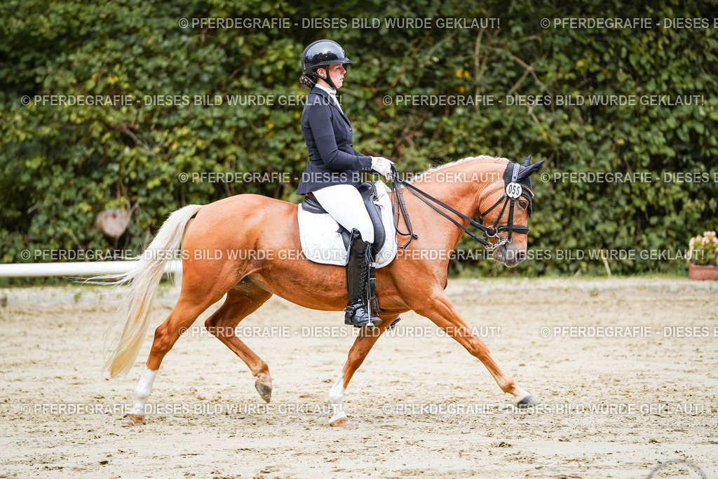 DSC04134 | Pferdegrafie