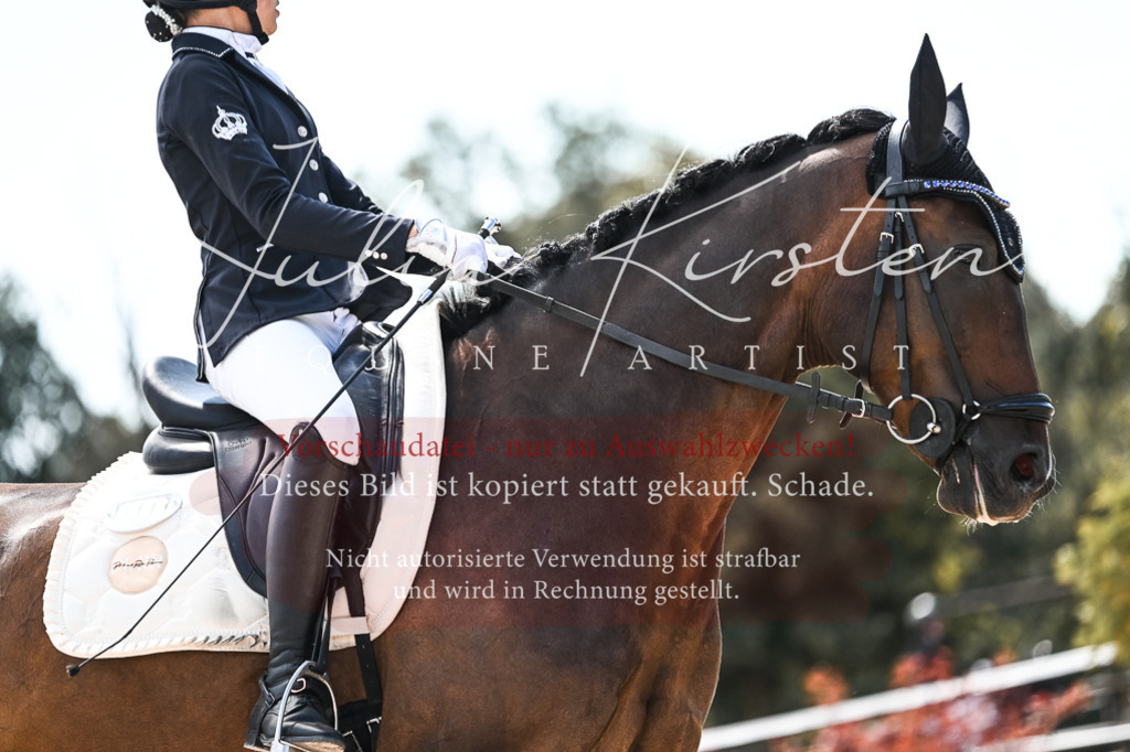 DSC_5779 | Pferde- und Turnierfotografie in Westsachsen. Pferdeportraits, Auftragszeichnungen und intuitive Kunst.