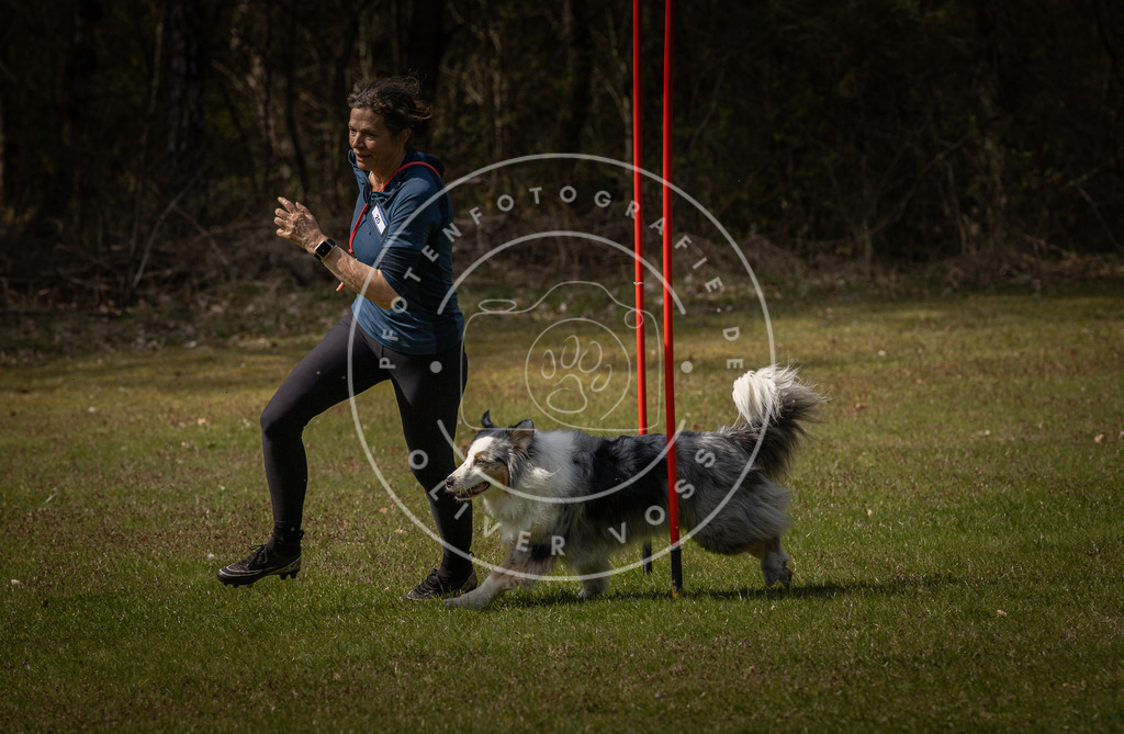 Pfotenfotografie_DV3A4295 | Hundefotografie, Tierfotograf, Pfotenfotografie, Fotoshooting Hund, Hunde Portrait, Hundesport, Hundeportraits, Heideshooting, Hunde, Sportfotograf, Hundefotograf, Turnierhundsport, THS,  - Realisiert mit Pictrs.com