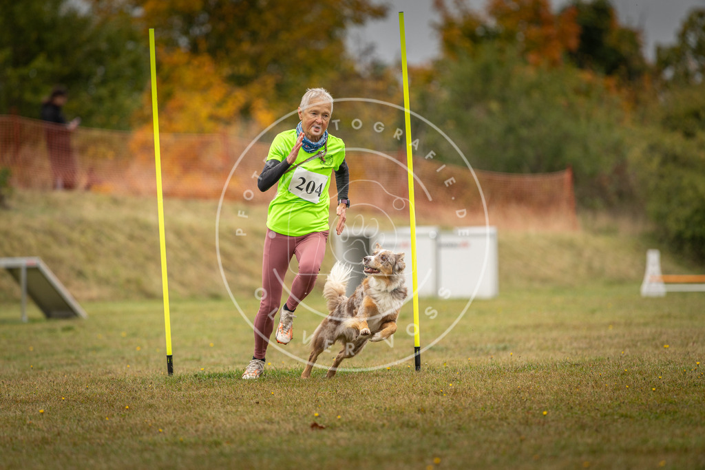 Pfotenfotografie_DV3A2063 | Hundefotografie, Tierfotograf, Pfotenfotografie, Fotoshooting Hund, Hunde Portrait, Hundesport, Hundeportraits, Heideshooting, Hunde, Sportfotograf, Hundefotograf, Turnierhundsport, THS,  - Realisiert mit Pictrs.com