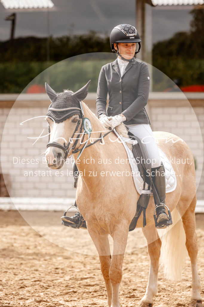 3I6A7612 | Stimmungsvolle Portraits und Reitsportfotografie im Ruhrgebiet und im Münsterland.

Pferdefotografie, Hundefotografie, Tierfotografie, Reportagen, Portraits von Tier und Mensch, Turnierfotografie in Bochum, Recklinghausen, Marl, Haltern am See, Dülmen.. - Realisiert mit Pictrs.com