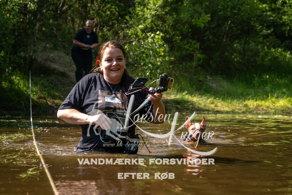 1622DKK993985 | kk-dogfotos