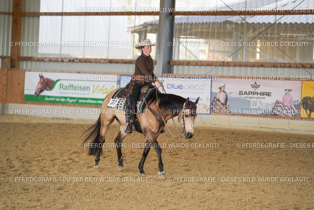 DSC00142 | Pferdegrafie