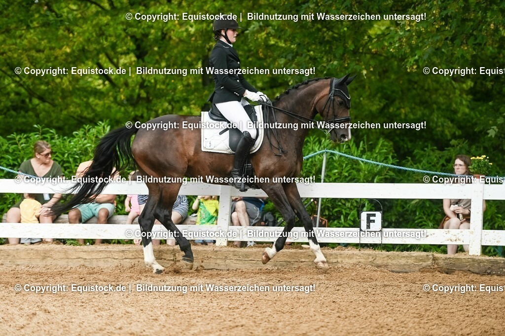 20230716_01_Dressurprüfung Kl.M_0525 | equistock