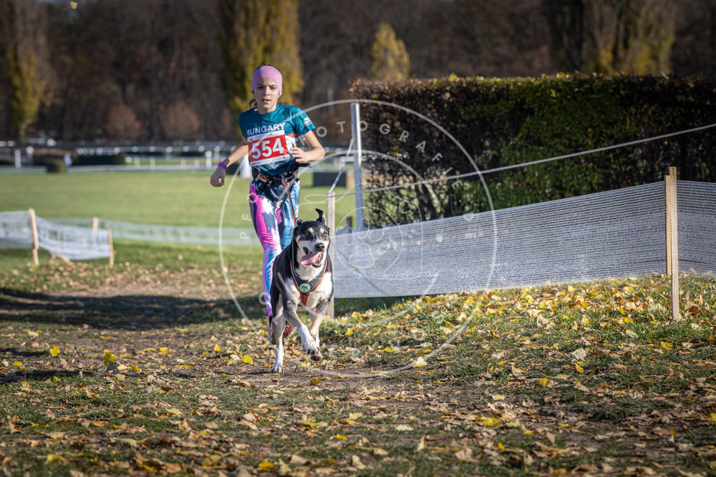 CaniXpix_DV3A8563 | Hundefotografie, Tierfotograf, Pfotenfotografie, Fotoshooting Hund, Hunde Portrait, Hundesport, Hundeportraits, Heideshooting, Hunde, Sportfotograf, Hundefotograf, Turnierhundsport, THS,  - Realisiert mit Pictrs.com