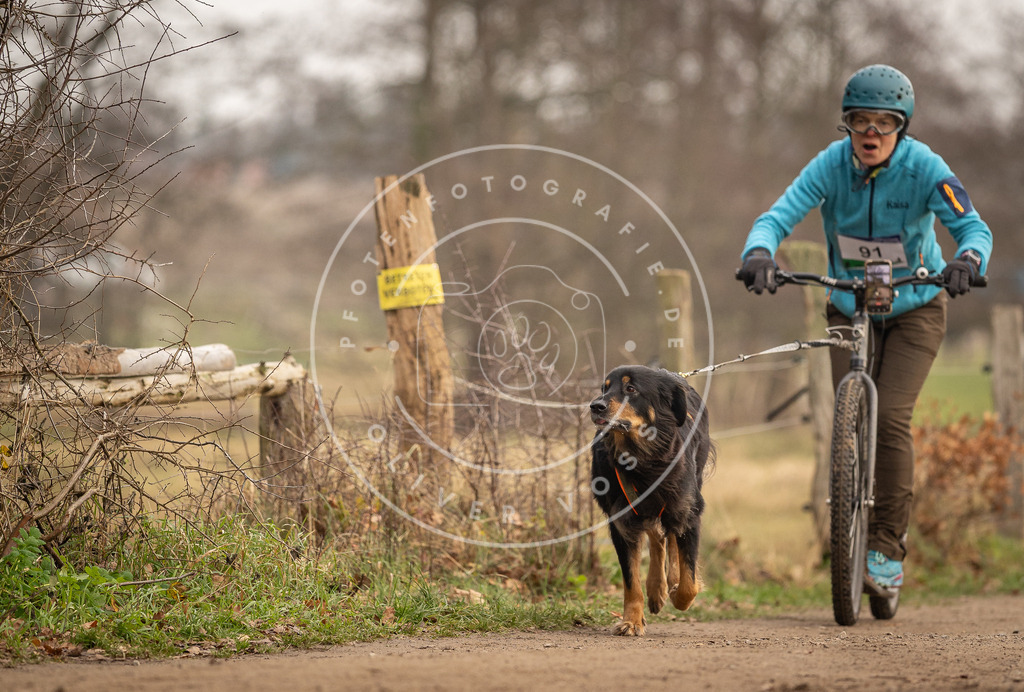 Pfotenfotografie_DV3A4256 | Hundefotografie, Tierfotograf, Pfotenfotografie, Fotoshooting Hund, Hunde Portrait, Hundesport, Hundeportraits, Heideshooting, Hunde, Sportfotograf, Hundefotograf, Turnierhundsport, THS,  - Realisiert mit Pictrs.com