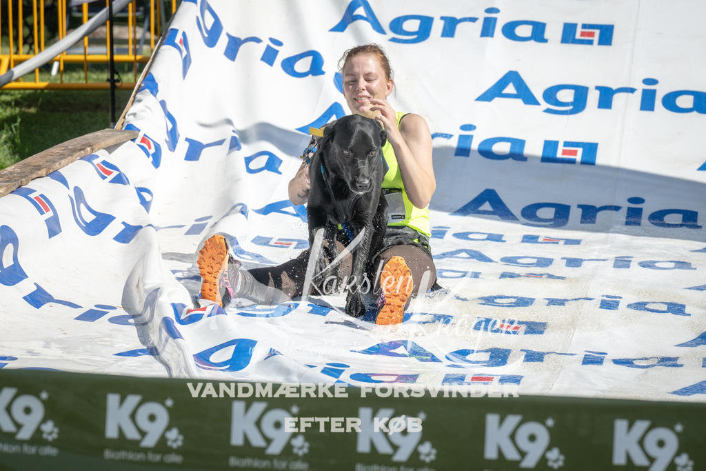 1145_ZZ93865 | kk-dogfotos