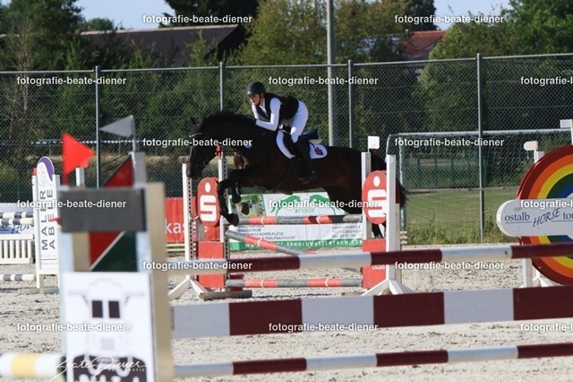 OHT 2022 Röhlingen (118) | Fotografie, Tiere, Hunde, Katzen, Pferde, Sportfotografie, Fotosession, Tierfotografie, Turnierfotografie, Fotografin, Fotograf - Realisiert mit Pictrs.com