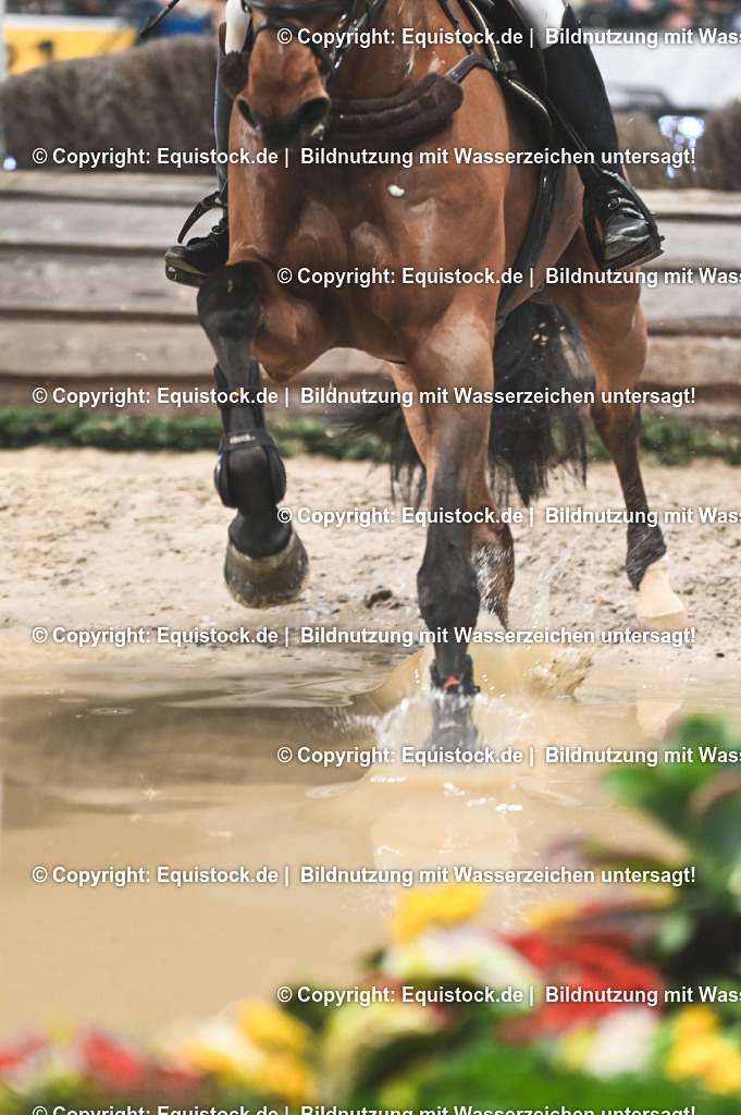 20251112_Indoor-Derby_TOMSPIC_0254 | Foto: Thomas Hartig