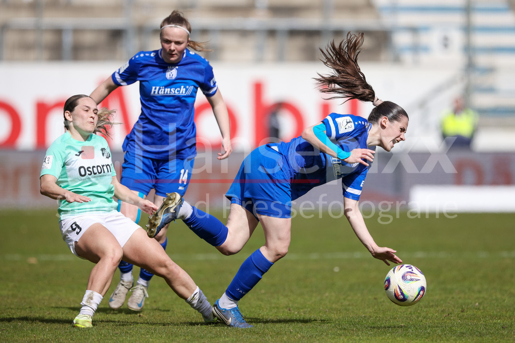 Fussball, 2. Frauen-Bundesliga, SV Meppen - SC Sand | v.li.: Pija Reininger (SC Sand, 9) und Marie Bleil (SV Meppen, 7) im Zweikampf, Duell, Dynamik, Aktion, Action, Spielszene, DIE DFB-RICHTLINIEN UNTERSAGEN JEGLICHE NUTZUNG VON FOTOS ALS SEQUENZBILDER UND/ODER VIDEOÄHNLICHE FOTOSTRECKEN. DFB REGULATIONS PROHIBIT ANY USE OF PHOTOGRAPHS AS IMAGE SEQUENCES AND/OR QUASI-VIDEO.