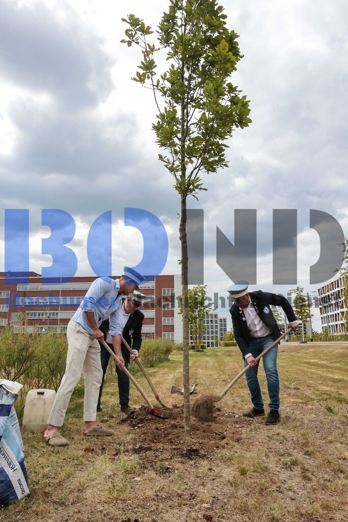 Eicheingrabung | Eicheingrabung - Realisiert mit Pictrs.com