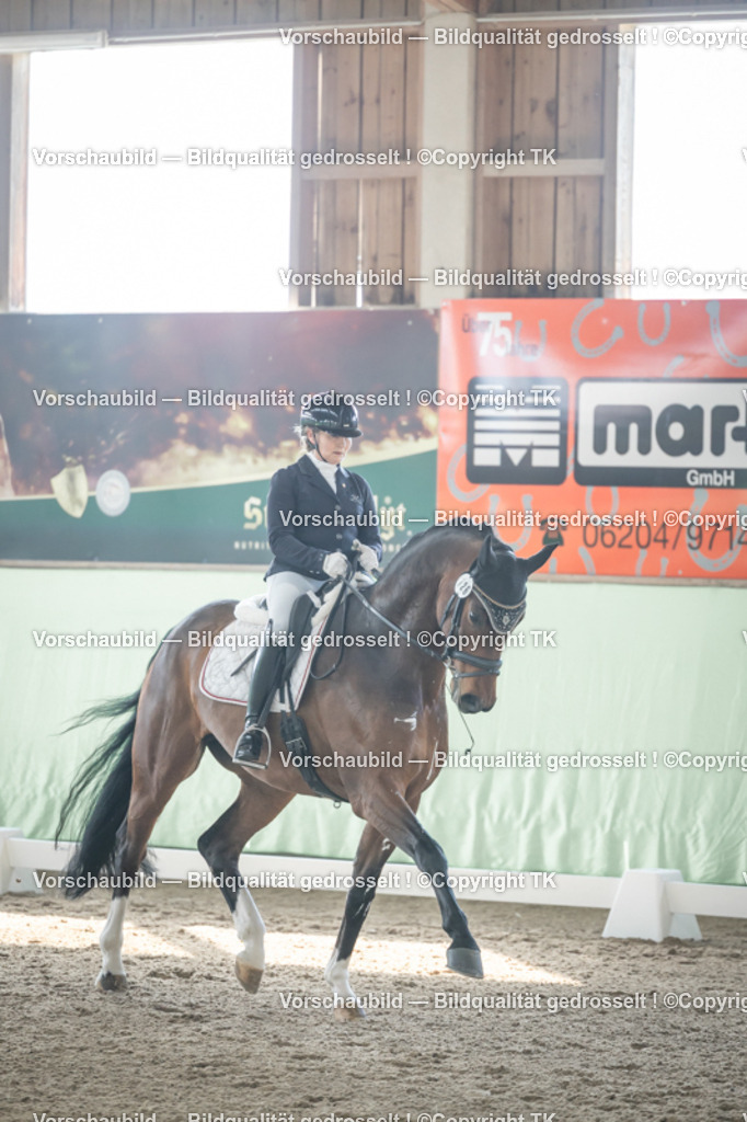 _D5A0772 | Emotionale Pferde- & People-Fotografie rund um Heidelberg, Leimen & Umgebung. Natürliche Fotos von Pferd, Mensch & Familie. Jetzt Termin sichern!