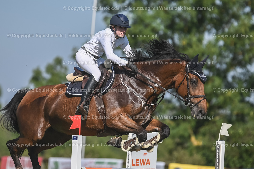20230908_24_Springen_M_0011 | equistock