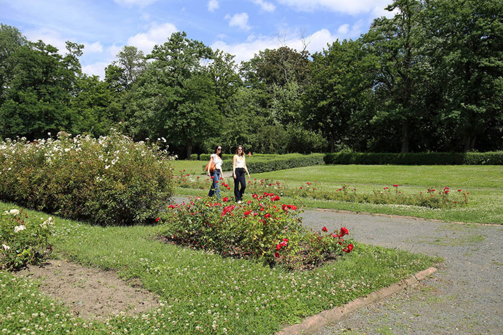 Mariannenpark | Das Team hinter BILDLEXIKON LEIPZIG bündelt historische wie aktuelle Informationen über die Stadt Leipzig in Text und Bild auf einer Plattform und stellt diese der interessierten Öffentlichkeit zur Verfügung.