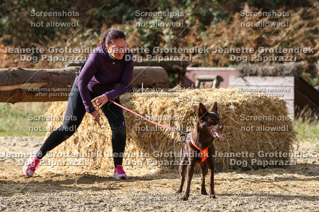 Dog Paparazzi - Strongdog 10-25-5689 | Dog Paparazzi Jeanette Grottendiek Fotografie & Videografie - Realisiert mit Pictrs.com