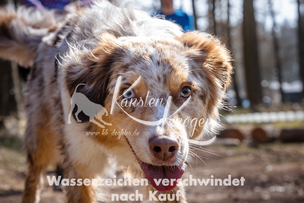 1325_ZZ95144 | kk-dogfotos