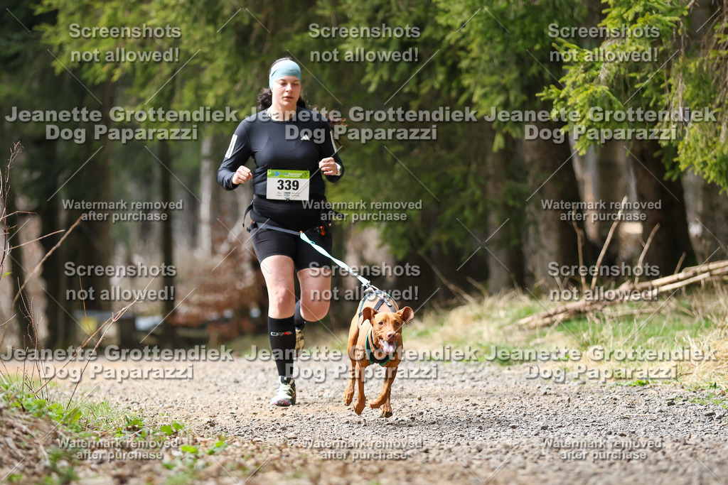 Dog Paparazzi - VCC26-502 | Dog Paparazzi Jeanette Grottendiek Fotografie & Videografie - Realisiert mit Pictrs.com