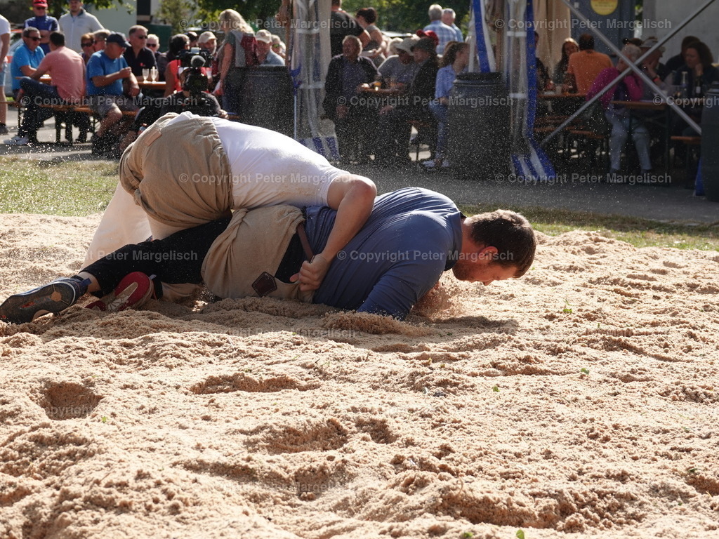 DSC05792 | Schwingen - Realisiert mit Pictrs.com