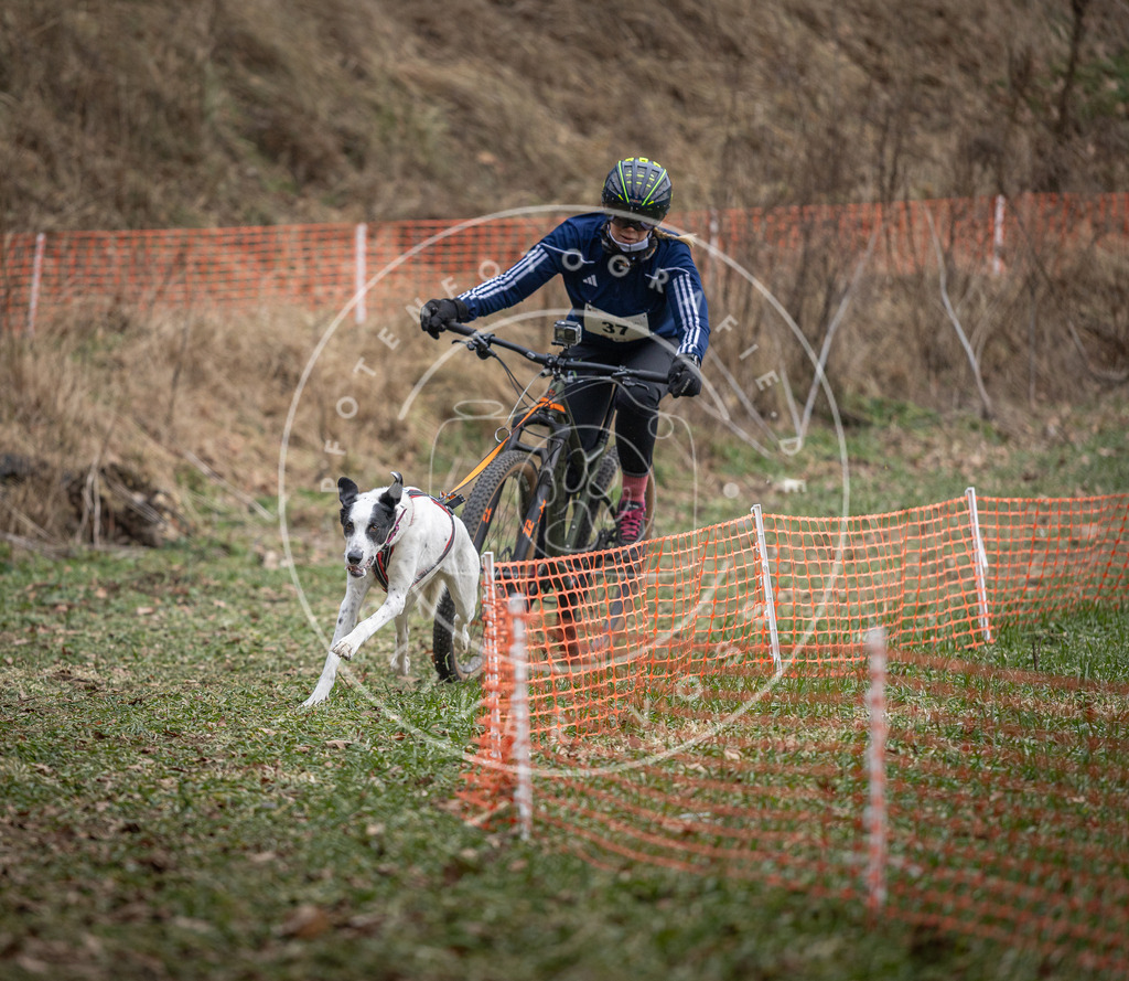 Pfotenfotografie_DV3A9781 | Hundefotografie, Tierfotograf, Pfotenfotografie, Fotoshooting Hund, Hunde Portrait, Hundesport, Hundeportraits, Heideshooting, Hunde, Sportfotograf, Hundefotograf, Turnierhundsport, THS,  - Realisiert mit Pictrs.com