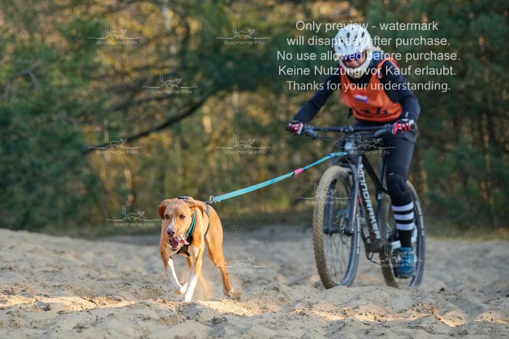 So_Bike-386 | stephaniefillaphotographie - Realisiert mit Pictrs.com