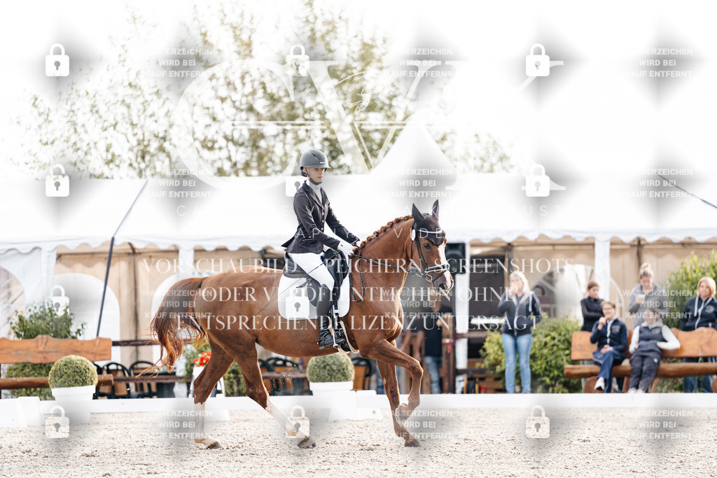 CK900507 | Turnierfotografie Pferdefotografie Trier Rheinland-Pfalz Pferdesport Reitsport Tierfotografie Sportfotografie Pferdevideo Pferdevideografie Equestrianvideography equestrianphotography  - Realisiert mit Pictrs.com