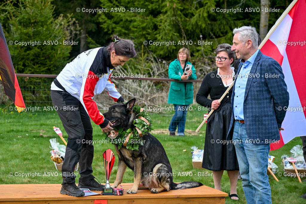 ASVÖ_ Tracking Dog World Championship 2025_ 05.04.2025-194 | bilder.asvo-sport - Realisiert mit Pictrs.com