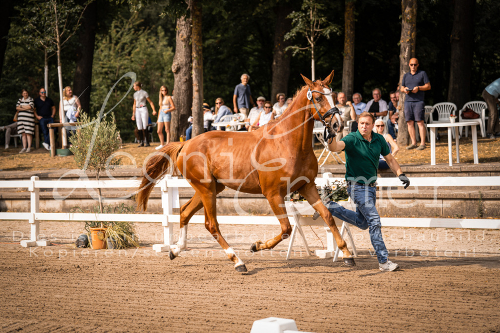 FrER00016 | Leoni Ertmer Photography - Realisiert mit Pictrs.com