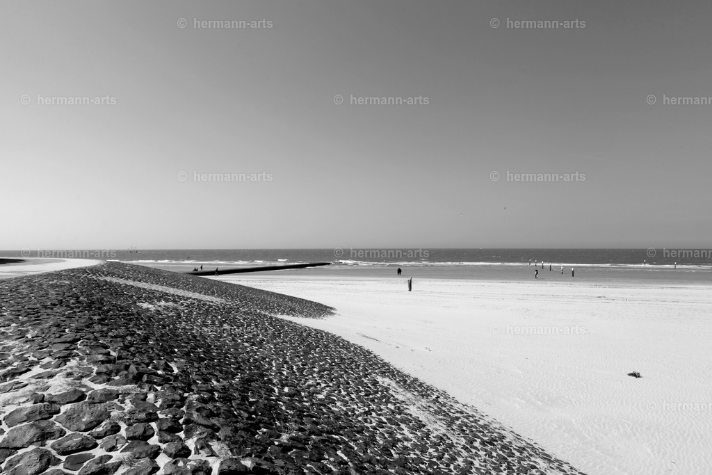 Hermann-Arts_Seaside_212 | Photo Foto Kunst Art schwarzweiss Bilder Rheine Münster Berlin Blumen 