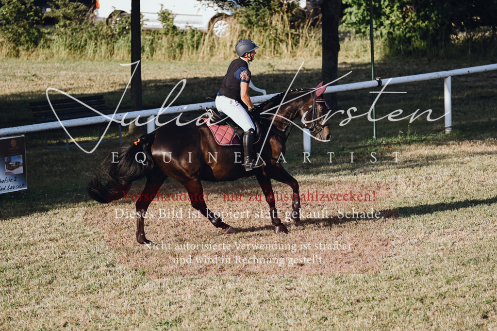 DSC_3294 | Pferde- und Turnierfotografie in Westsachsen. Pferdeportraits, Auftragszeichnungen und intuitive Kunst.