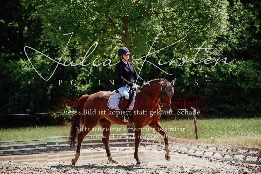 DSC_1295 | Pferde- und Turnierfotografie in Westsachsen. Pferdeportraits, Auftragszeichnungen und intuitive Kunst.