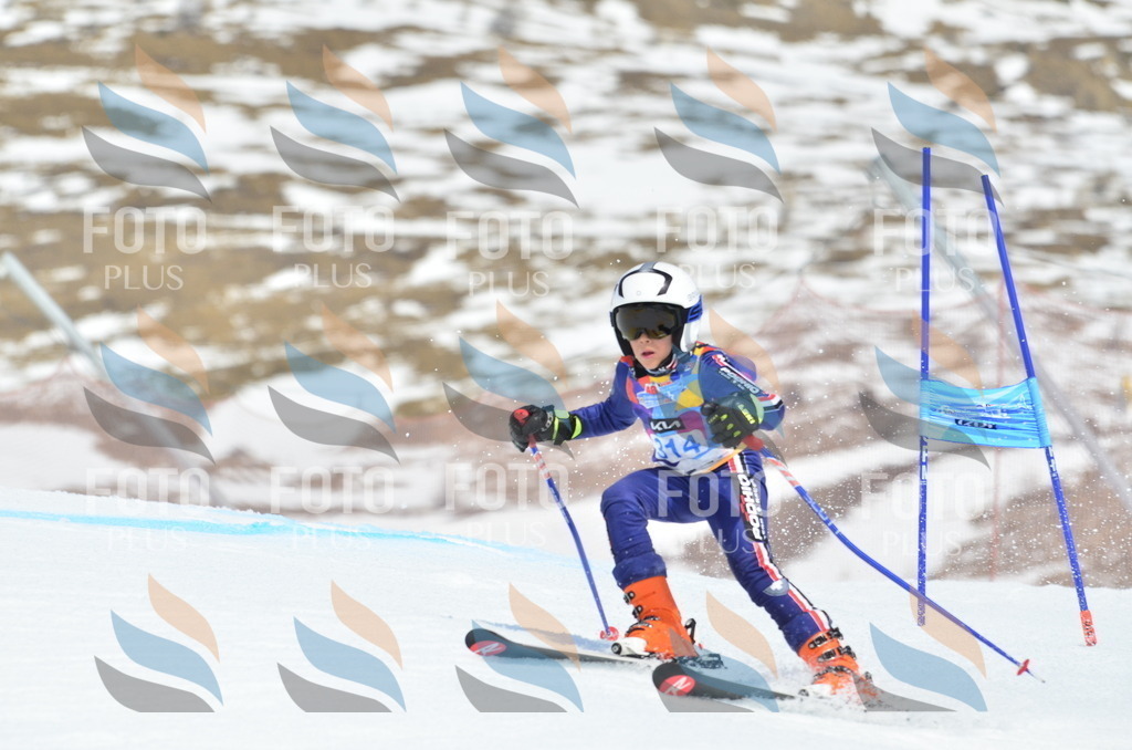 _ELE2360 | holidayphoto