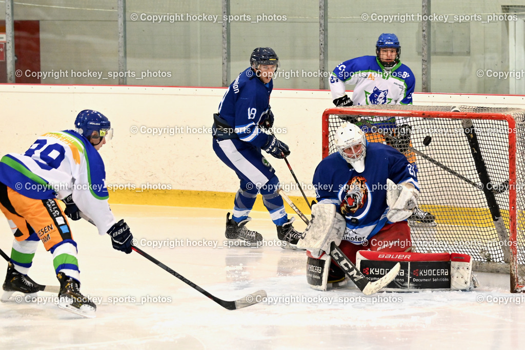  EC Tigers Paternion vs. EC Virgen 8.1.2022 | #21 Lesacher Jürgen, #18 Kampitsch Andreas, #87 Holzer Kevin, #89 Gasser Arno, Tor EC Virgen