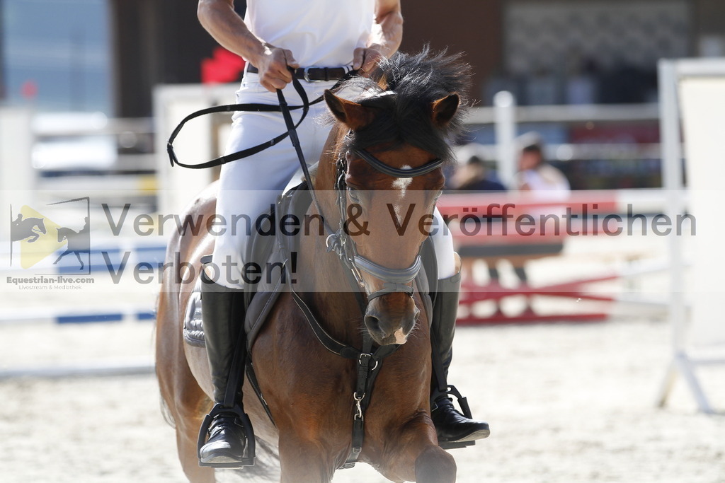 _MG_3427 | equestrian-live-com