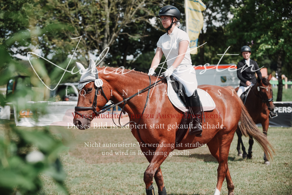 DSC_5739 | Pferde- und Turnierfotografie in Westsachsen. Pferdeportraits, Auftragszeichnungen und intuitive Kunst.