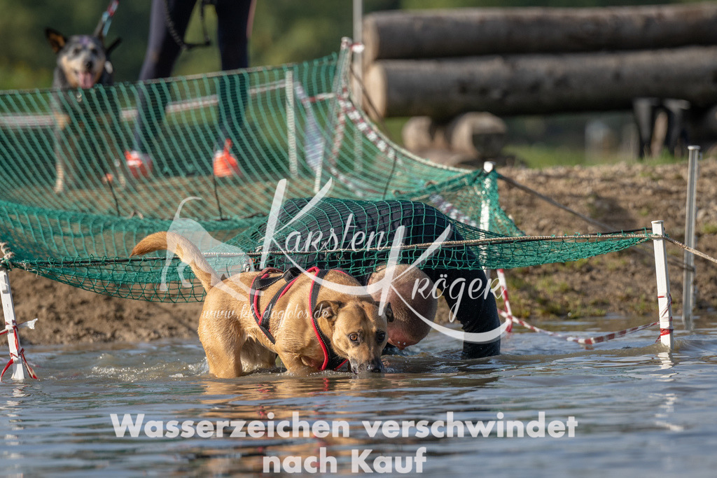 1109_ZZ91722 | kk-dogfotos