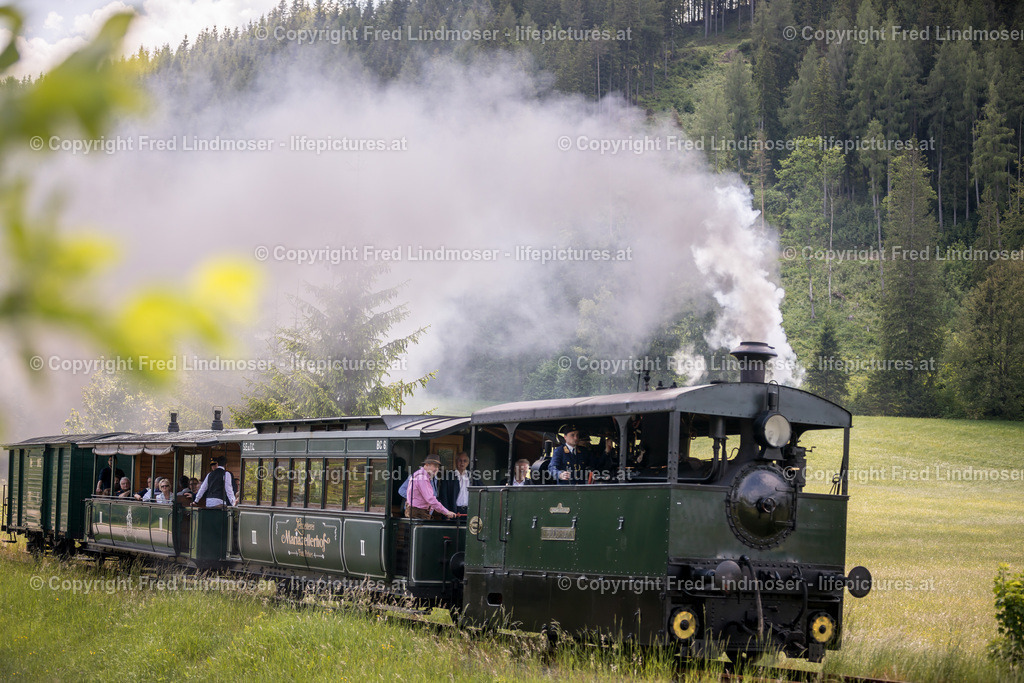 Erlaufsee Ausflugsschiff Fleissner-1453 | Fotos und Fotoprodukte - Realisiert mit Pictrs.com