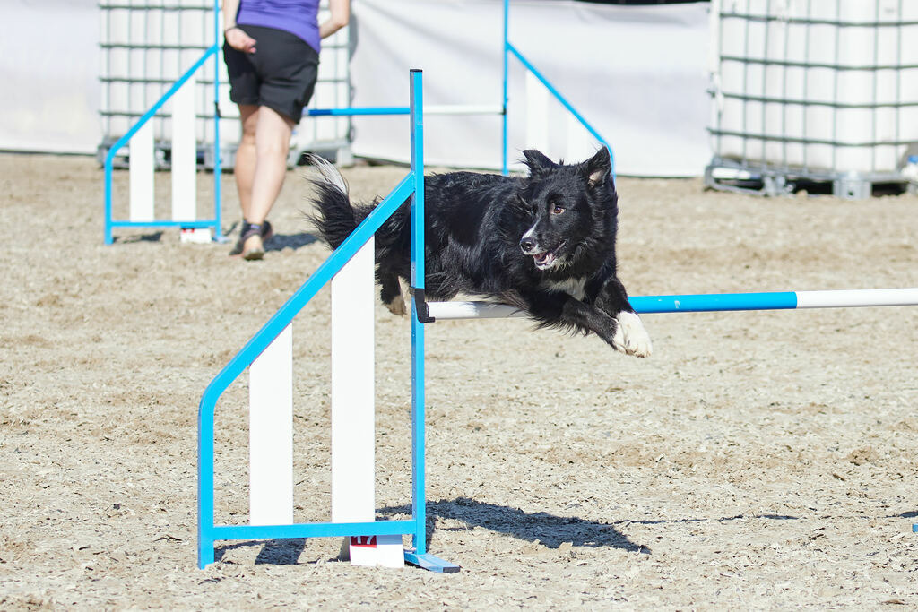 580A0170 | Peter Fridle Fotografie - Realisiert mit Pictrs.com