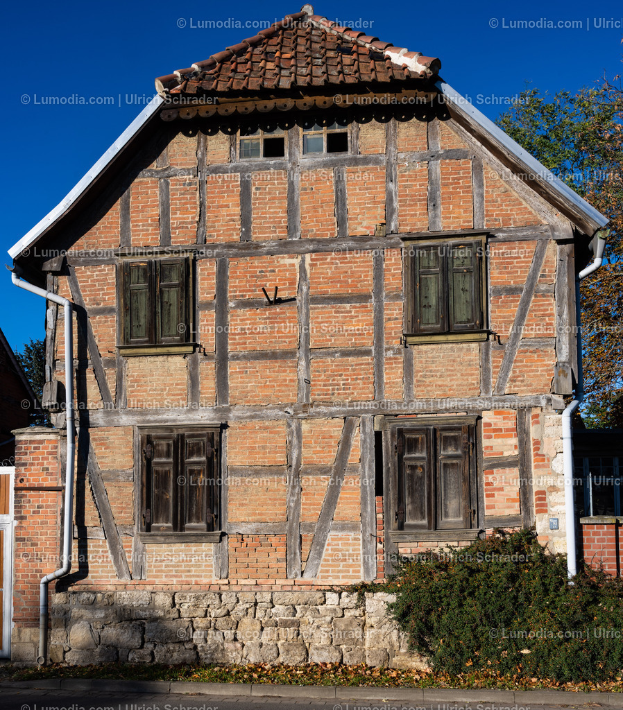 10049-12738 - Herbst in Anderbeck | Stockfoto und Bilderpool mit Bildmaterial aus Deutschland, dem Harz, Halberstadt, Quedlinburg, Wernigerode und weltweit. Qualitativ hochwertige und professionelle Fotos anschauen und kaufen. - Realisiert mit Pictrs.com