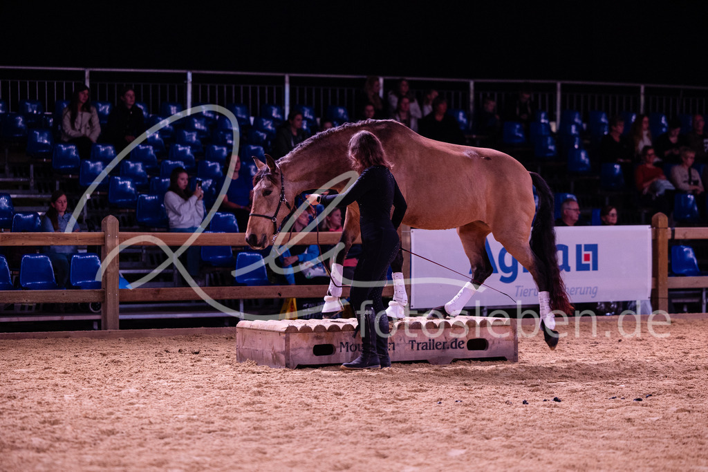 846A6825 | fotosleben - Realisiert mit Pictrs.com