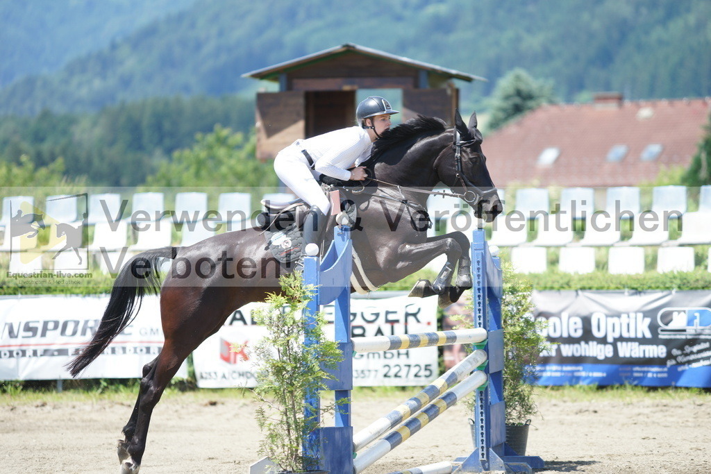 DSC06211 | equestrian-live-com
