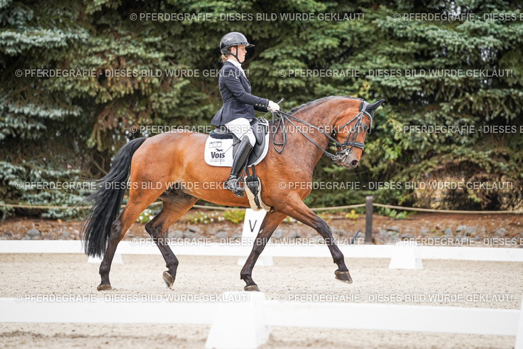 DSC08210 | Pferdegrafie